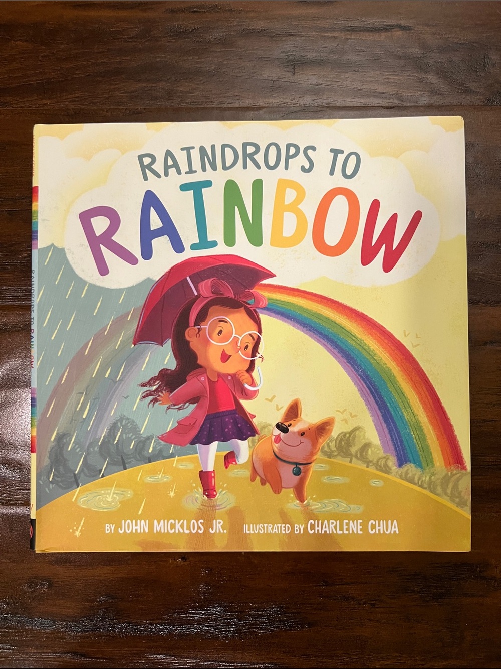 5/$10 Kids Books | Raindrops to Rainbow